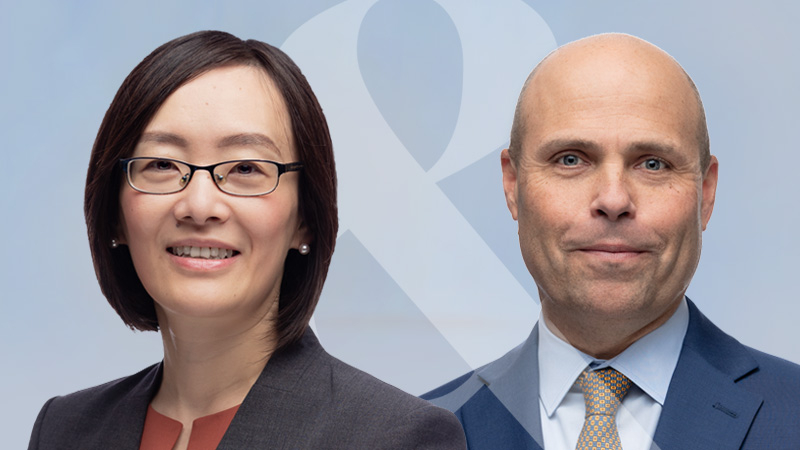 Image for Emerging Markets Equity Strategy